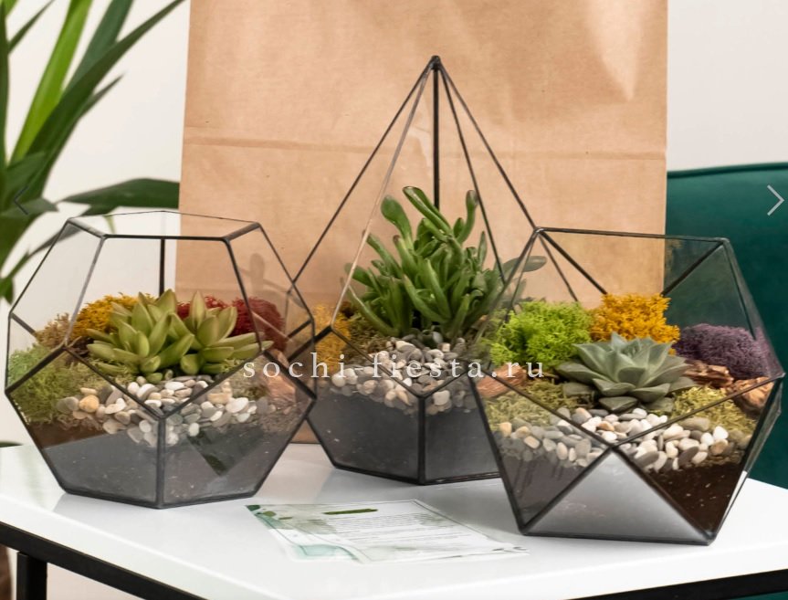 Флорариумы