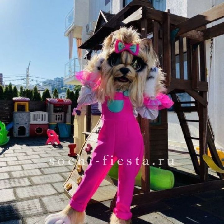 Аниматор Гламурная Собака в Нижнекамске