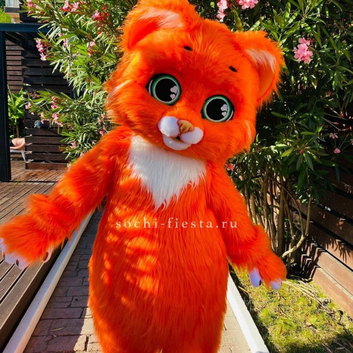 Аниматор Котик в Нижнекамске