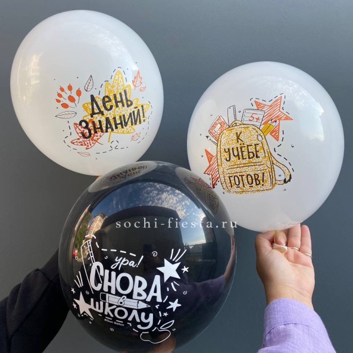 Воздушный шар к 1 сентября в Нижнекамске
