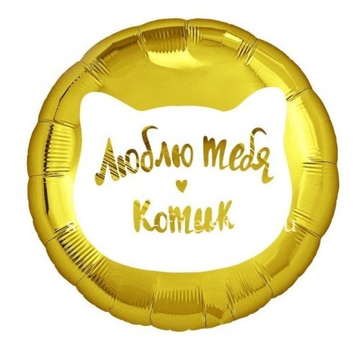 Фольгированный шар "Люблю тебя, Котик" в Нижнекамске