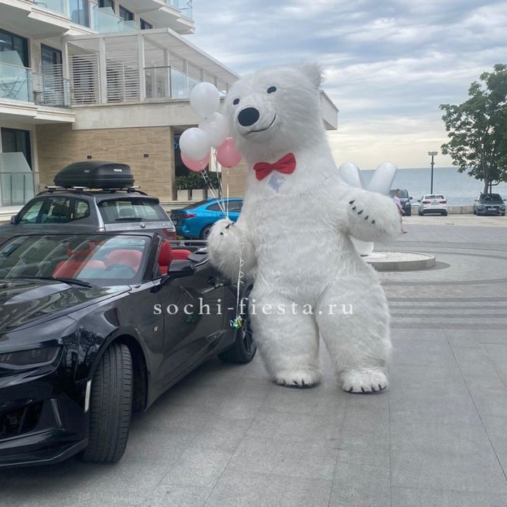 Аниматор Белый Медведь в Нижнекамске