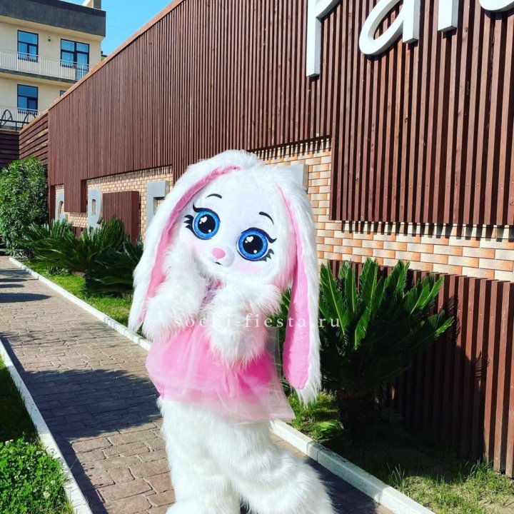 Аниматор Зайка в Нижнекамске