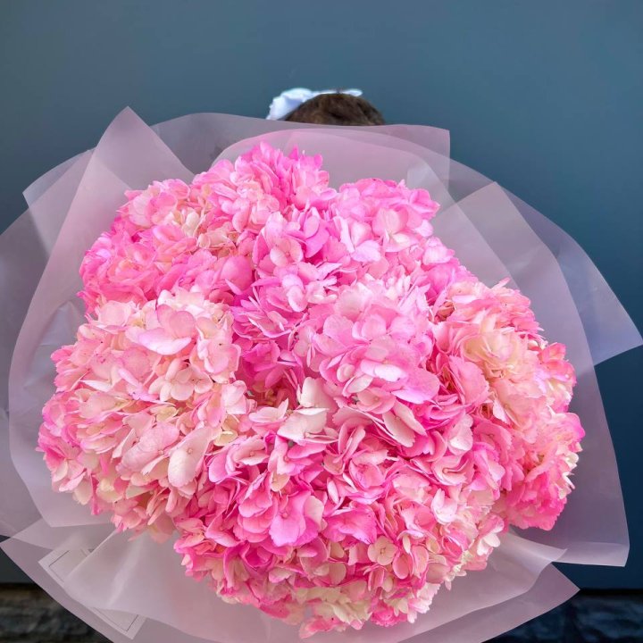 9 ярко розовых гортензий в Нижнекамске