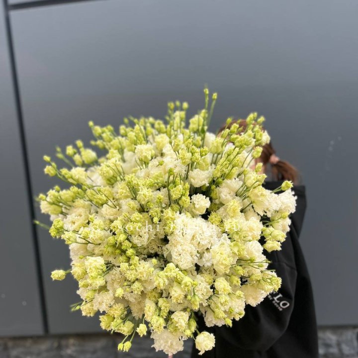 51 белая эустома в Нижнекамске