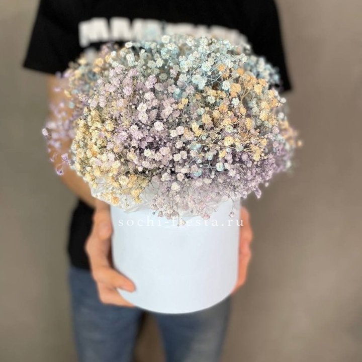 9 Радужных гипсофил в шляпной коробке в Нижнекамске