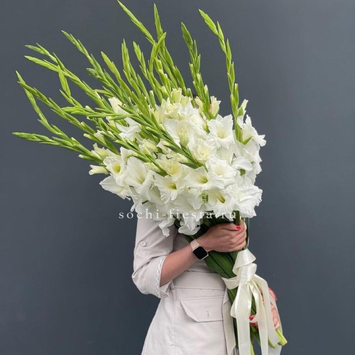 19 белых гладиолусов под ленту в Нижнекамске