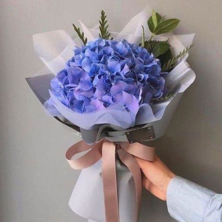 Гортензия голубая в Нижнекамске