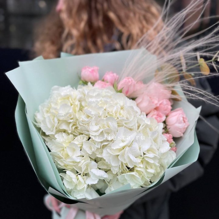 Гортензия "Жасмин" в Нижнекамске