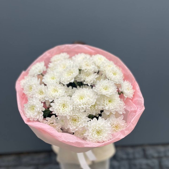  5 хризантем  с доставкой в Нижнекамске