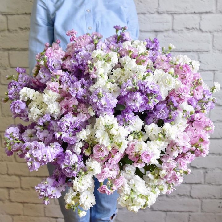 Облако маттиол в Нижнекамске