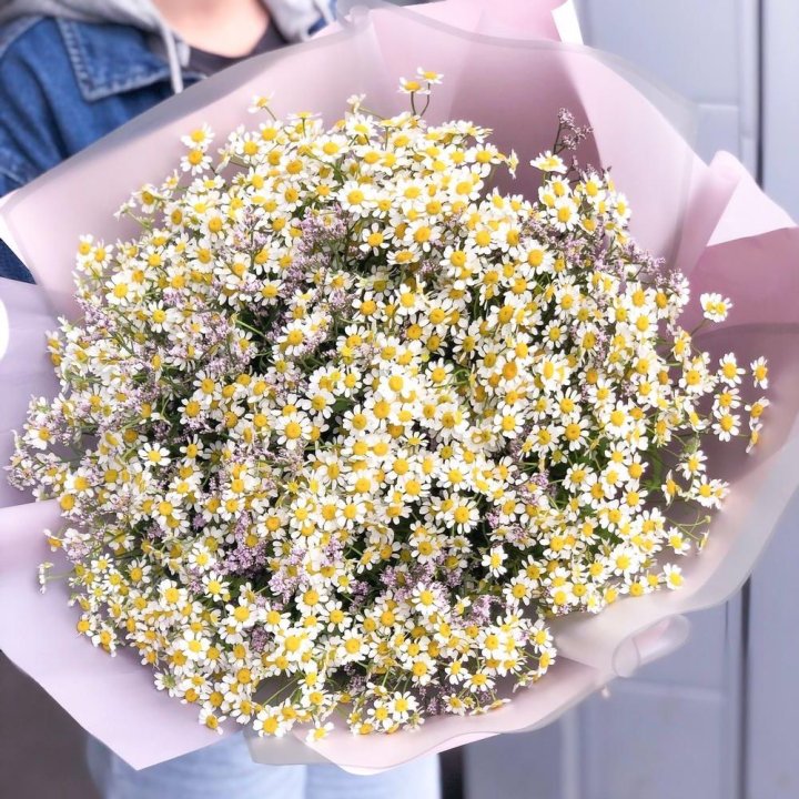 Букет ромашек №1 в Нижнекамске