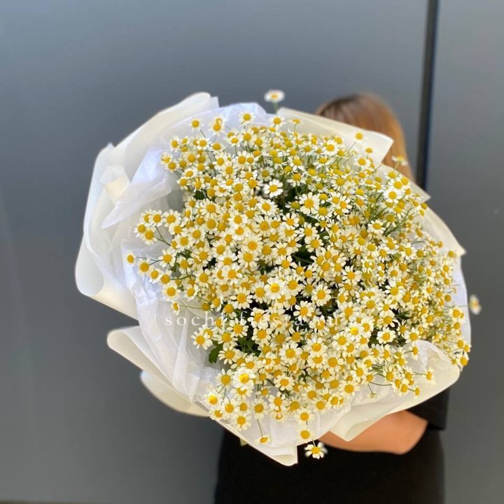 Букет ромашек "Фемели" в Нижнекамске