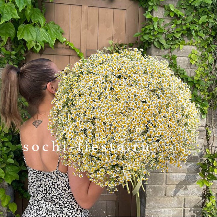 101 ромашка в Нижнекамске