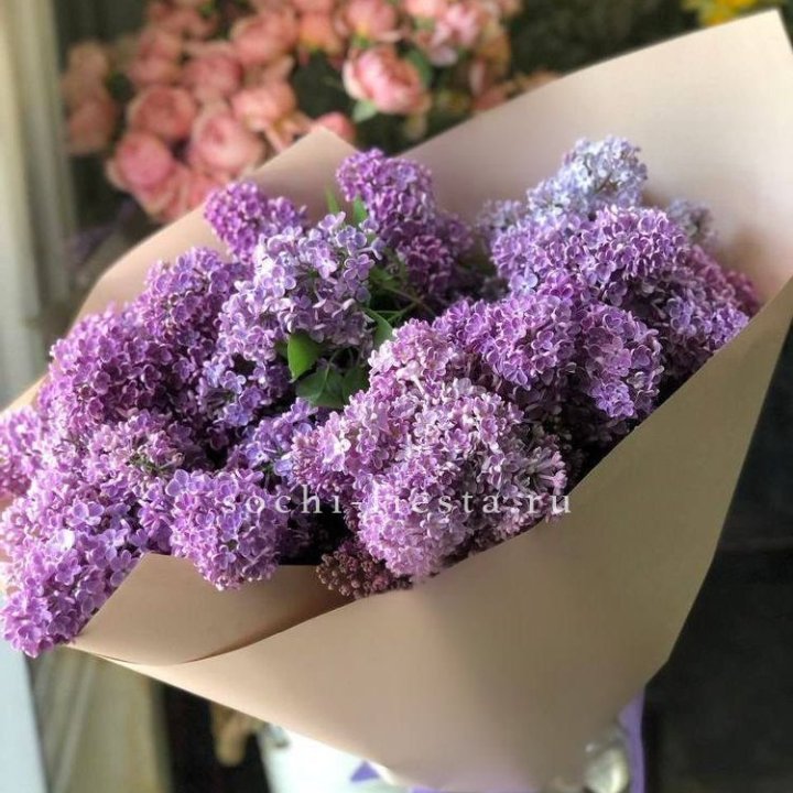 Букет сирени №2 в Нижнекамске