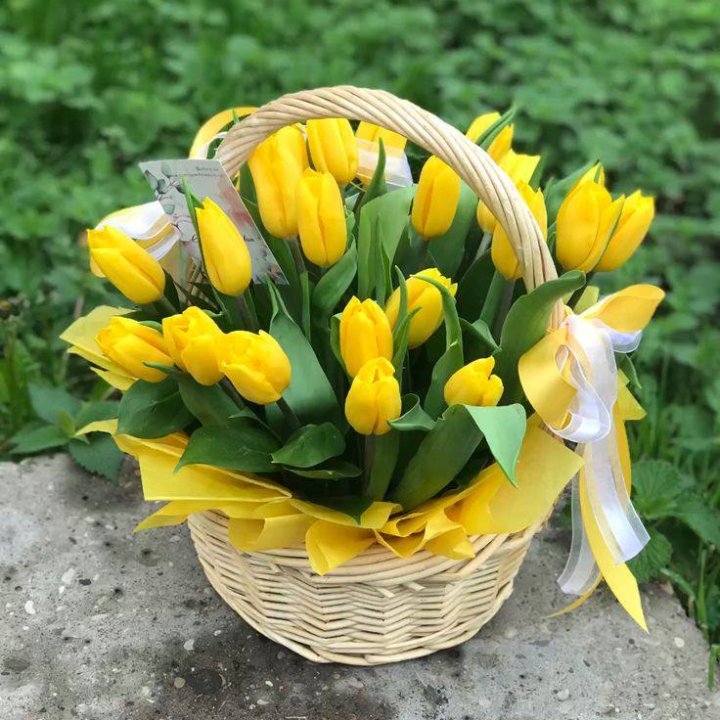 25 желтых тюльпанов в корзине в Нижнекамске