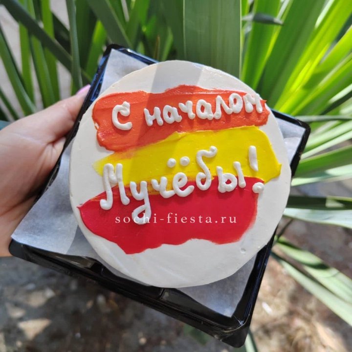 Бенто-торт "С началом учёбы"" в Нижнекамске