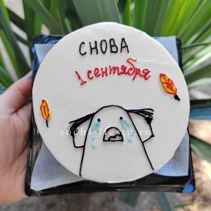 Бенто-торт "Не опять, а снова..." в Нижнекамске