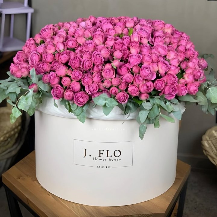 Цилиндр с Мисти Бабблс  в Нижнекамске