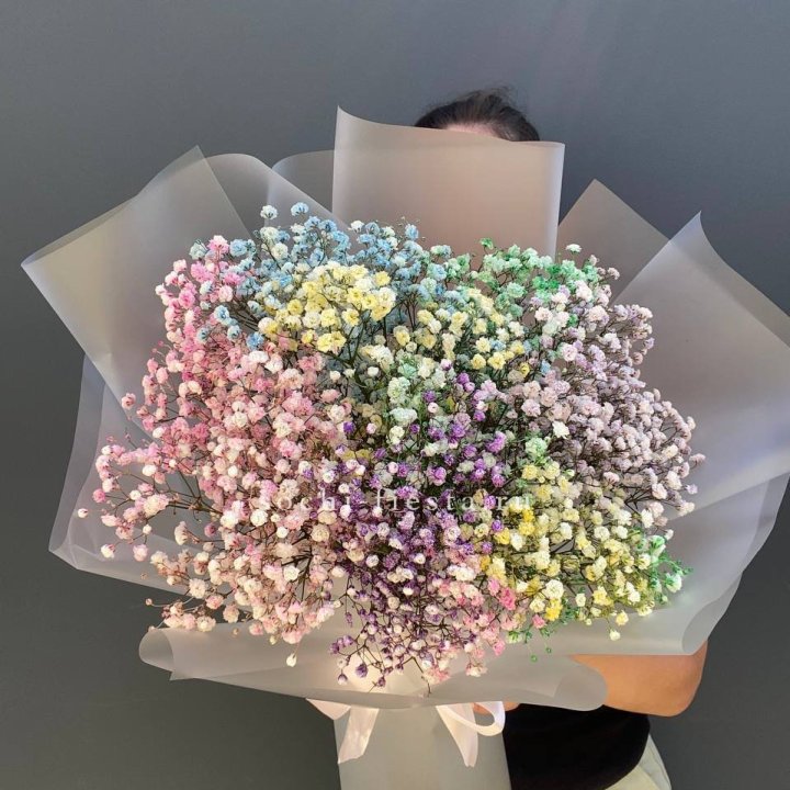 Радужные гипсофилы  в Нижнекамске