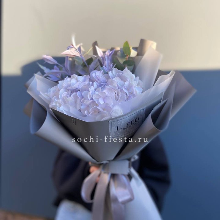 Гортензия "Виолета" в Нижнекамске