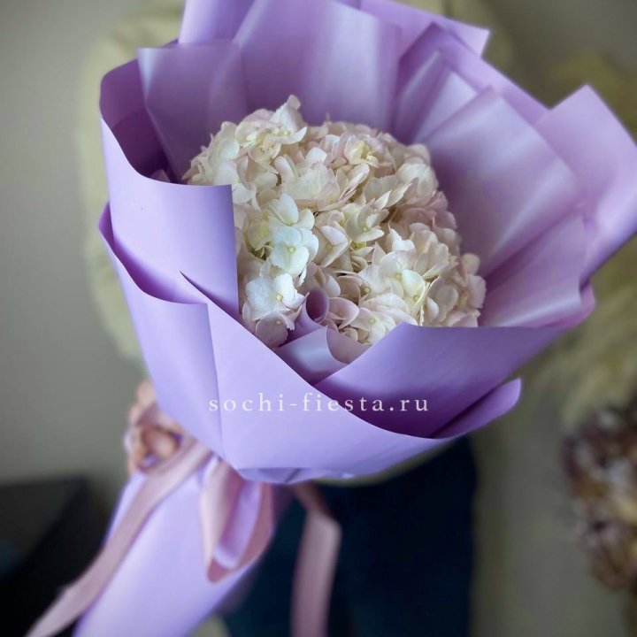 Гортензия розовая в Нижнекамске