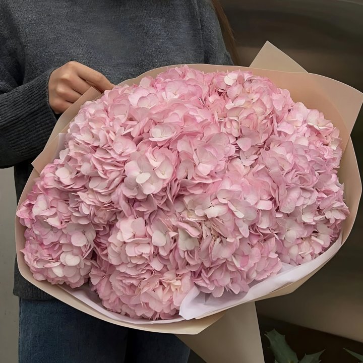 Гортензия  "РОЗЕ" в Нижнекамске