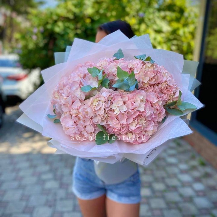 5 розовых гортензий  в Нижнекамске