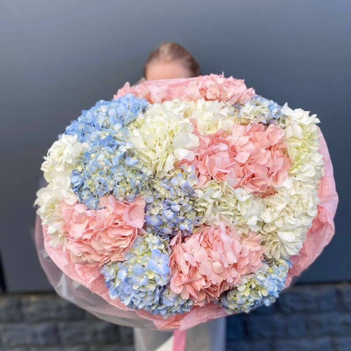 19 гортензий микс в Нижнекамске