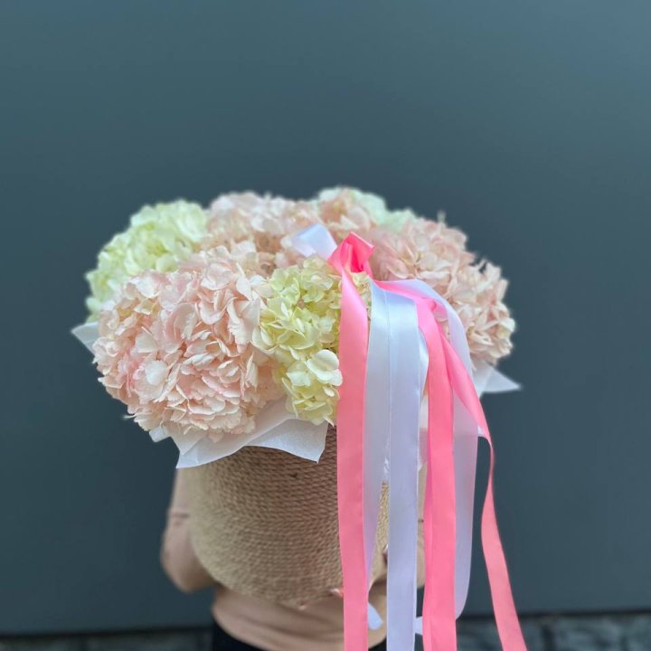 7 гортензий в кашпо в Нижнекамске