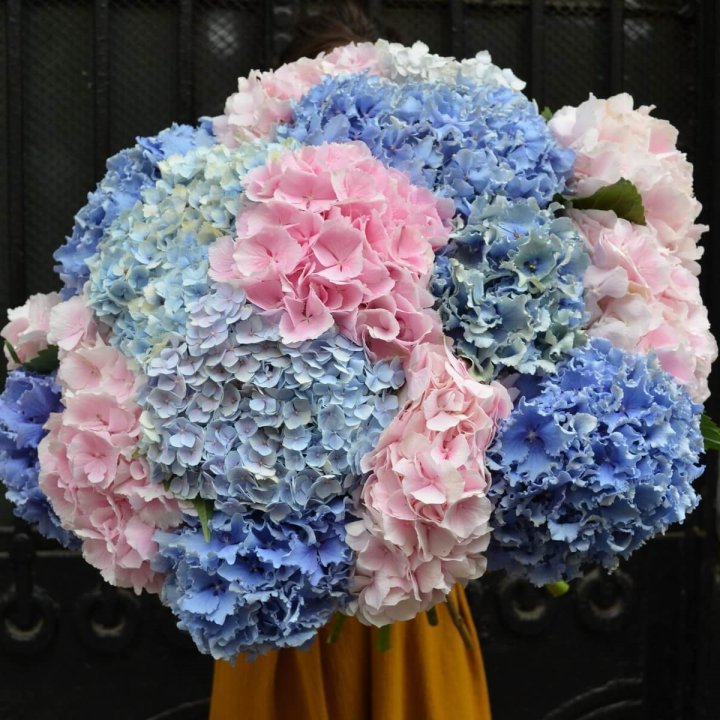 Букет гортензий "Фонтан" в Нижнекамске