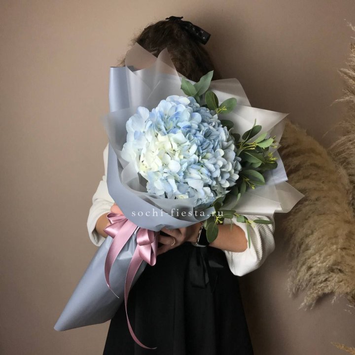 Гортензия Уно в Нижнекамске