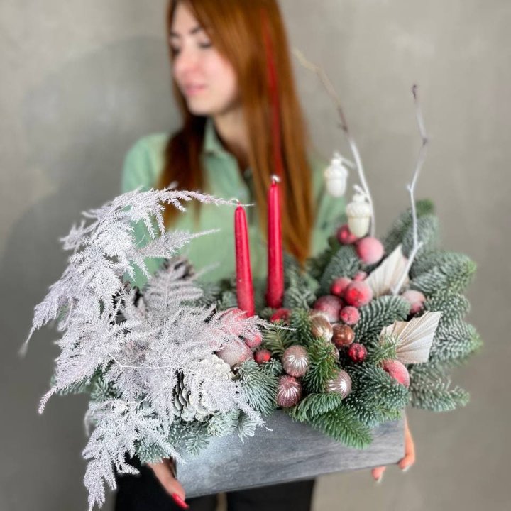 Бокс красный с нобилисом в Нижнекамске