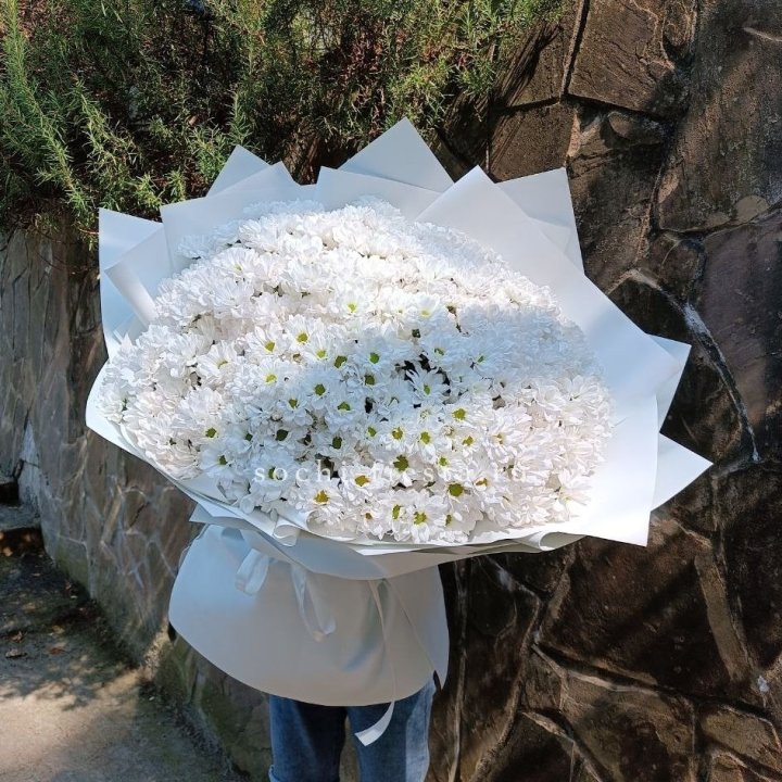 Облако хризантем №2 в Нижнекамске