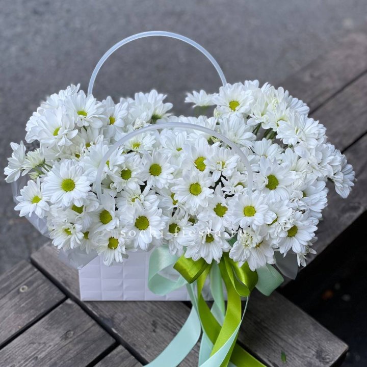 Сумка с хризантемами ромашками в Нижнекамске