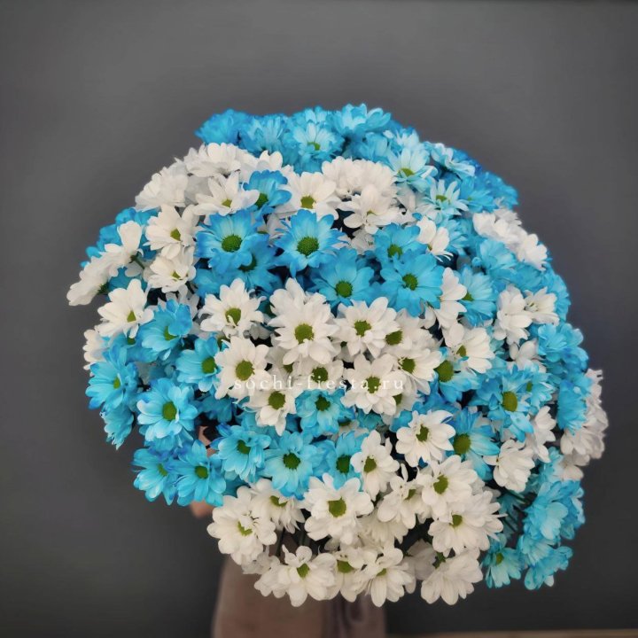  Букет хризантем микс в Нижнекамске