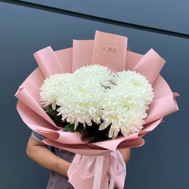 Профитроли №2 в Нижнекамске