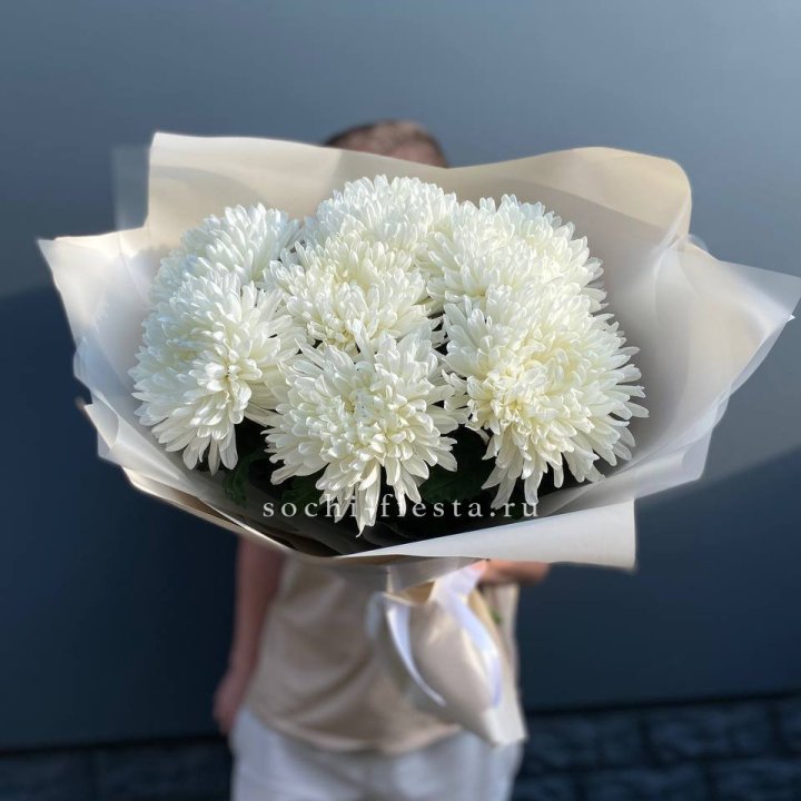 Профитроли в Нижнекамске