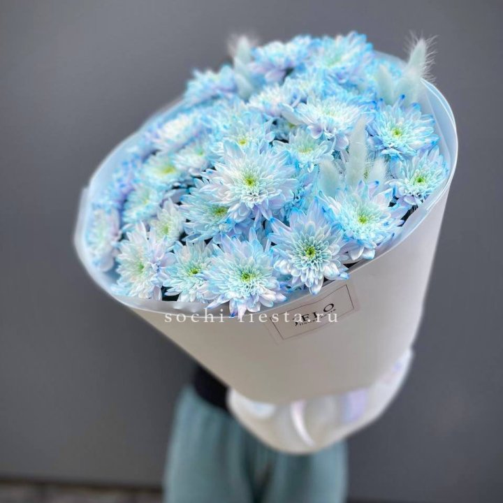  Букет нежно-голубых хризантем  в Нижнекамске