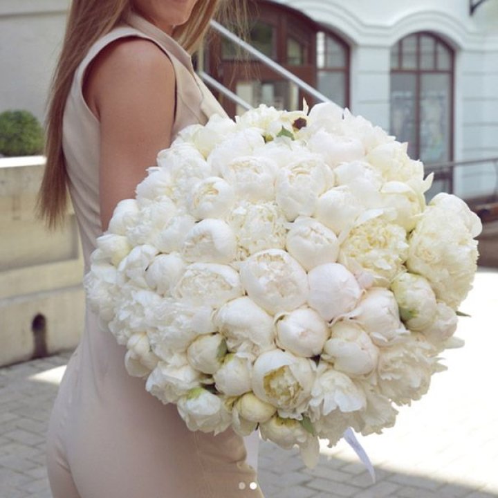 51 белый пион в Нижнекамске