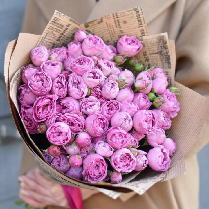 Роза Мисти Баблс в Нижнекамске