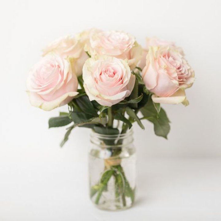 7 кремовых роз в Нижнекамске