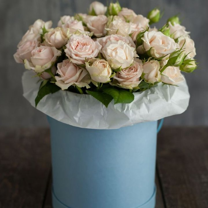 Бокс с бомбастиком в Нижнекамске