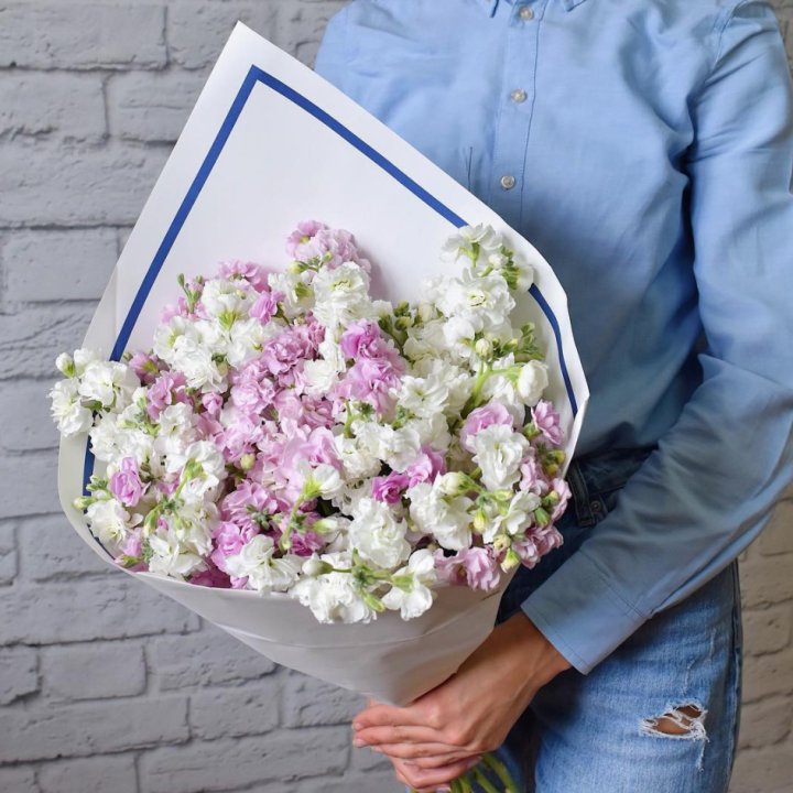 Маттиола в Нижнекамске