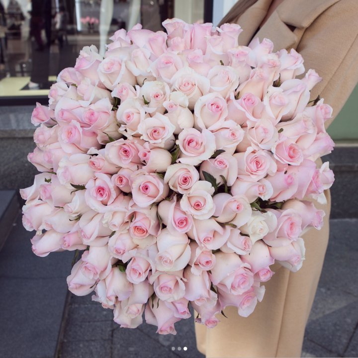 Розы "Пинк бум" в Нижнекамске