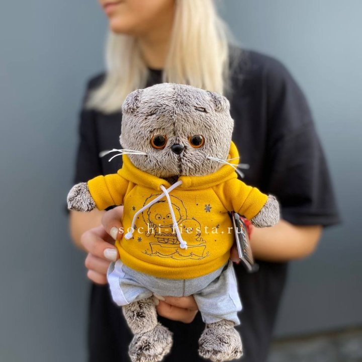 Кот Басик в худи в Нижнекамске