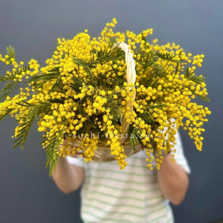 Весенняя корзина мимозы в Нижнекамске