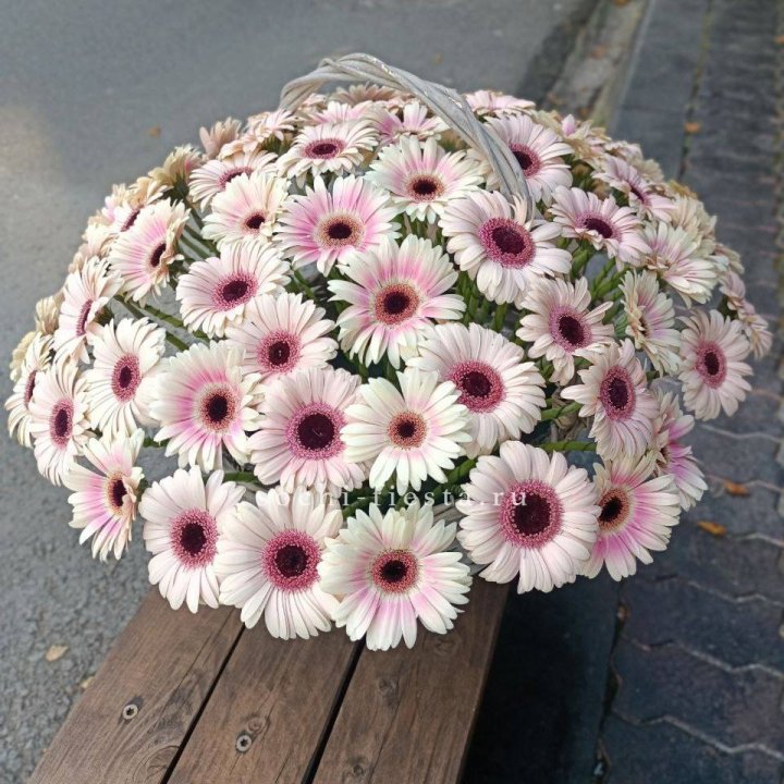 Корзина с герберами  в Нижнекамске