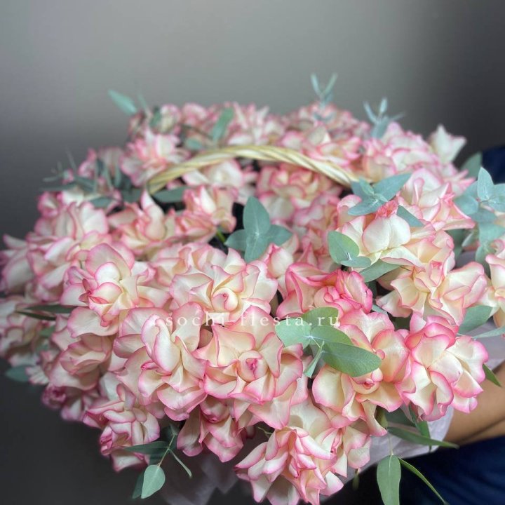 51 джумилия  в корзине   в Нижнекамске