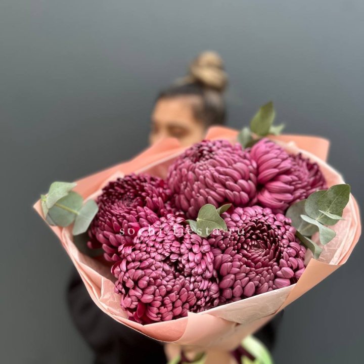 Хризантемы  Бигуди  в Нижнекамске